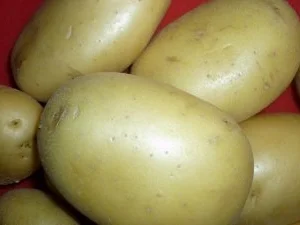 Schweineleber mit Zwiebel-Apfelgemüse und Stampfkartoffeln - Rezept - Bild Nr. 3