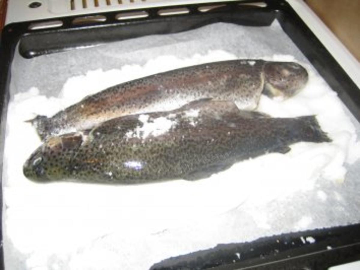 Fisch – Forelle im Salzmantel - Rezept