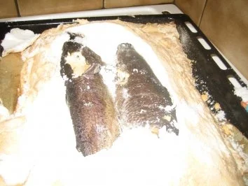 Rezept: Fisch – Forelle im Salzmantel Bild Nr. 4 Fisch – Forelle im Salzmantel - Rezept - Bild Nr. 4