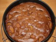 Schokoladenkuchen mit Aprikosen - Rezept