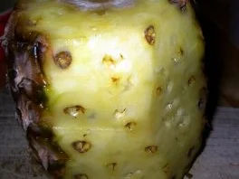 Kokospudding mit beschwippster Ananas - Rezept - Bild Nr. 6