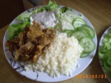 Hauptgericht: Gyros mit Reis und selbstgemachten Zaziki - Rezept