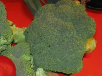 Brokkolicremesüppchen - Rezept - Bild Nr. 2