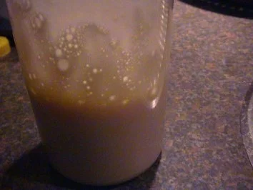 Mayonnaise selbstgemacht - Rezept - Bild Nr. 5