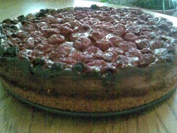 Schoko-Quarktorte mit Kirschen - Rezept