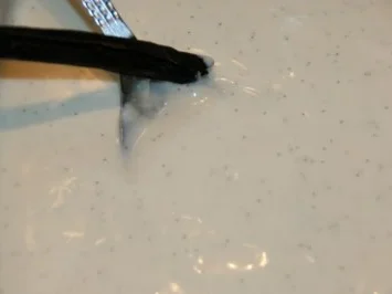 Dessert: Erdbeersülze mit Mascarpone-Vanille-Soße - Rezept - Bild Nr. 4