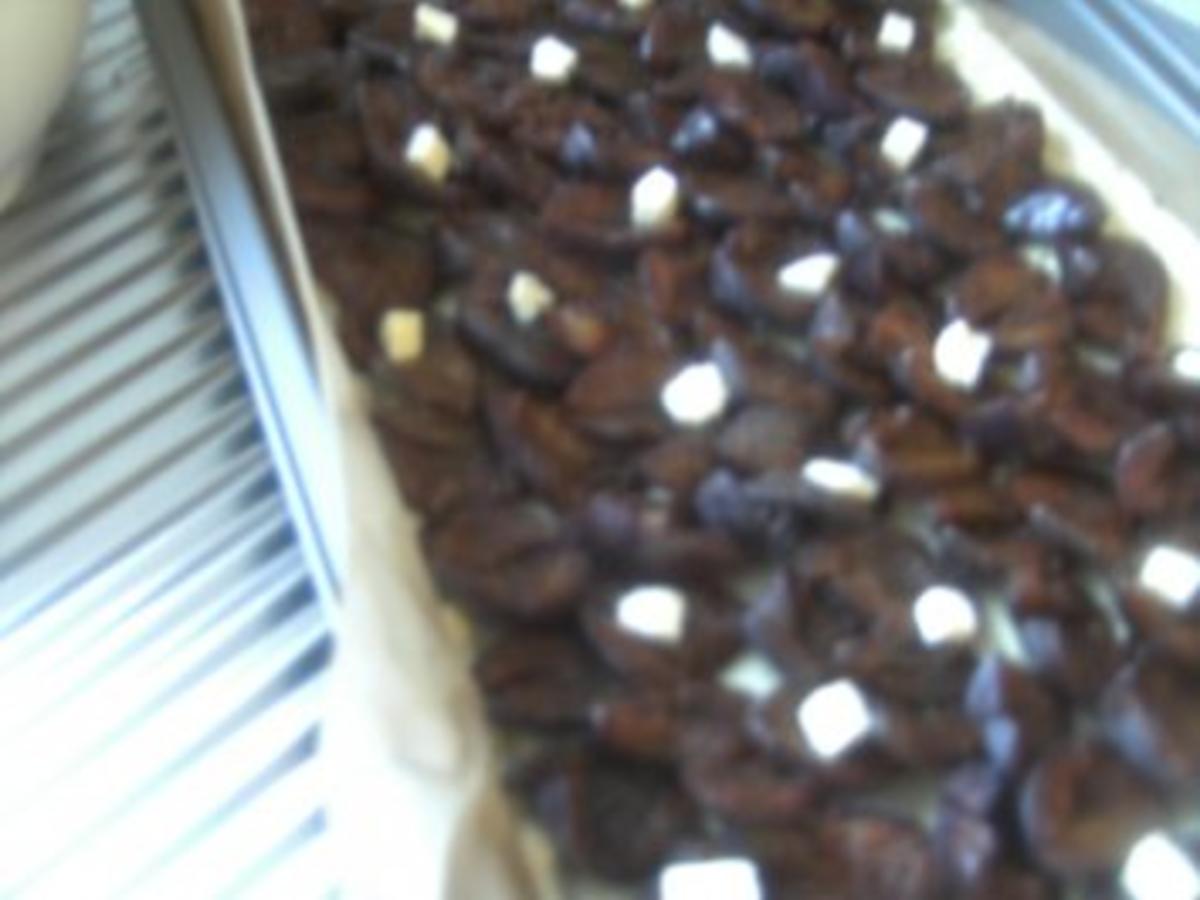 Pflaumenkuchen mit falschem Hefeteig - einfach - von altemutter