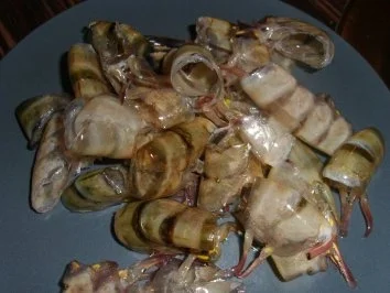 Rezept: Black Tiger Prawns an Safransauce Bild Nr. 3 Black Tiger Prawns an Safransauce - Rezept - Bild Nr. 3