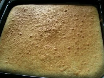 Blitzkuchen "Bienenstich" - Rezept - Bild Nr. 2