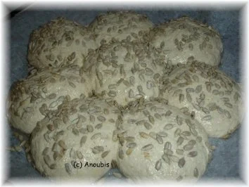 Rezept: Brot/Brötchen - Brötchenblume Bild Nr. 6 Brot/Brötchen - Brötchenblume - Rezept - Bild Nr. 6