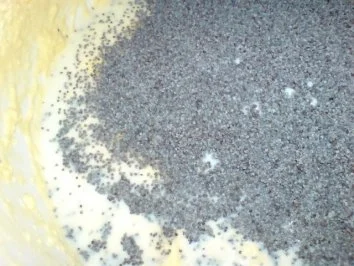 Rezept: Mandarinen-Mohn-Kuchen Bild Nr. 6 Mandarinen-Mohn-Kuchen - Rezept - Bild Nr. 6