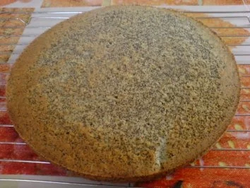 Rezept: Mandarinen-Mohn-Kuchen Bild Nr. 11 Mandarinen-Mohn-Kuchen - Rezept - Bild Nr. 11