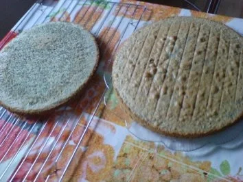 Rezept: Mandarinen-Mohn-Kuchen Bild Nr. 12 Mandarinen-Mohn-Kuchen - Rezept - Bild Nr. 12