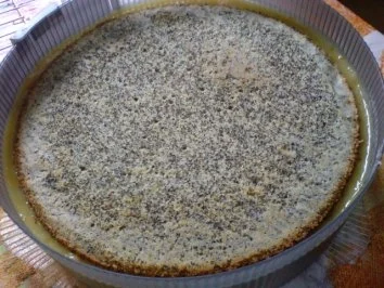 Rezept: Mandarinen-Mohn-Kuchen Bild Nr. 21 Mandarinen-Mohn-Kuchen - Rezept - Bild Nr. 21