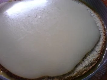 Rezept: Mandarinen-Mohn-Kuchen Bild Nr. 23 Mandarinen-Mohn-Kuchen - Rezept - Bild Nr. 23