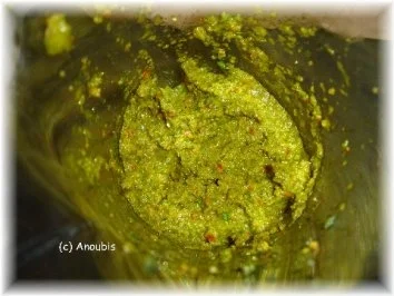 Gewürzmischung - Currypaste - Rezept - Bild Nr. 3