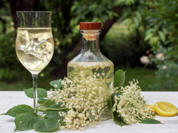 Holunderblütenwein (Fliederblütenwein) - Rezept - Bild Nr. 2