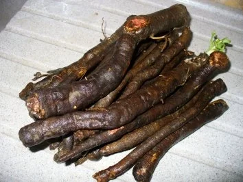 Schwarzwurzelgemüse - Rezept