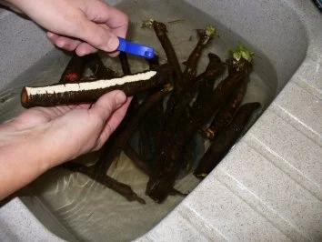 Schwarzwurzelgemüse - Rezept - Bild Nr. 3