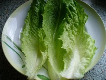 Hähnchenbrust auf Ratatouille im Salatschiffchen - Rezept - Bild Nr. 7