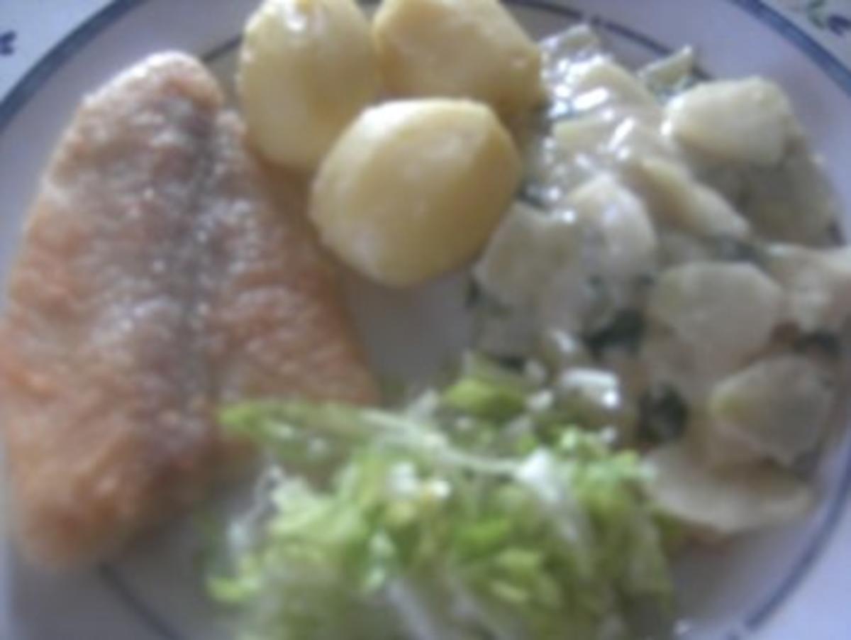 Pangasius-Filet mit Rahmkohlrabi  Salatbeilage - Rezept - Bild Nr. 9