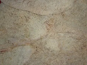 Putenschnitzel an Orangenreis und Pilzgemüse - Rezept - Bild Nr. 3