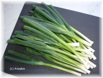 Geflügelgericht - Marinierte Hähnchenbrust auf Lauchzwiebeln - Rezept - Bild Nr. 2