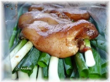 Geflügelgericht - Marinierte Hähnchenbrust auf Lauchzwiebeln - Rezept - Bild Nr. 3