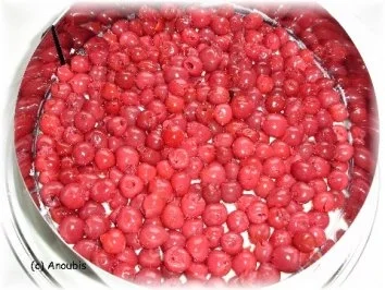 Kuchen/Gebäck - Kühlschranktorte mit Kirschen - Rezept - Bild Nr. 7