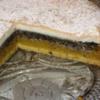 Apfel - Mohn - Torte - Rezept