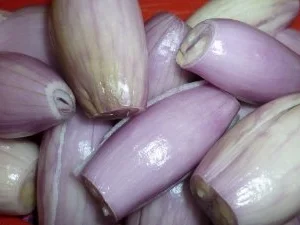 Sesam - Thunfischpfannkuchen - Rezept - Bild Nr. 6