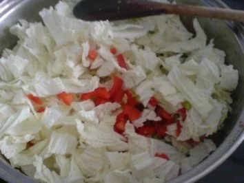 Rezept: Kraut-Geschnetzeltes Bild Nr. 18 Kraut-Geschnetzeltes - Rezept - Bild Nr. 18