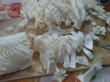 Rezept: Kraut-Geschnetzeltes Bild Nr. 9 Kraut-Geschnetzeltes - Rezept - Bild Nr. 9