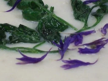 Rezept: Topinambur Velouté Bild Nr. 2 Topinambur Velouté - Rezept - Bild Nr. 2