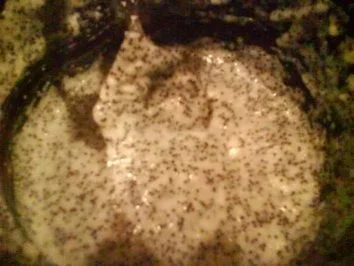 Rezept: Muffins á la Mohn mit Nüssen, Lebkuchen und Grieß Bild Nr. 3 Muffins á la Mohn mit Nüssen, Lebkuchen und Grieß - Rezept - Bild Nr. 3