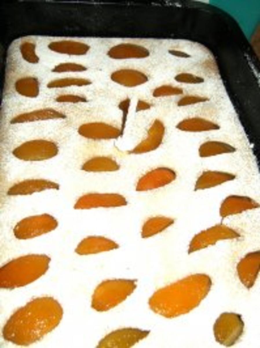 Gehaltvoller Blechkuchen mit Aprikosen - Rezept