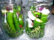 Chilifan`s eingelegte Peperoni - Rezept