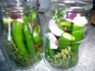 Chilifan`s eingelegte Peperoni - Rezept