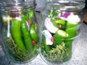 Chilifan`s eingelegte Peperoni - Rezept