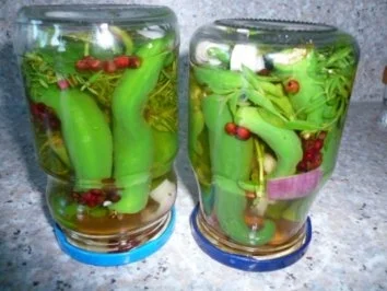 Chilifan`s eingelegte Peperoni - Rezept - Bild Nr. 2