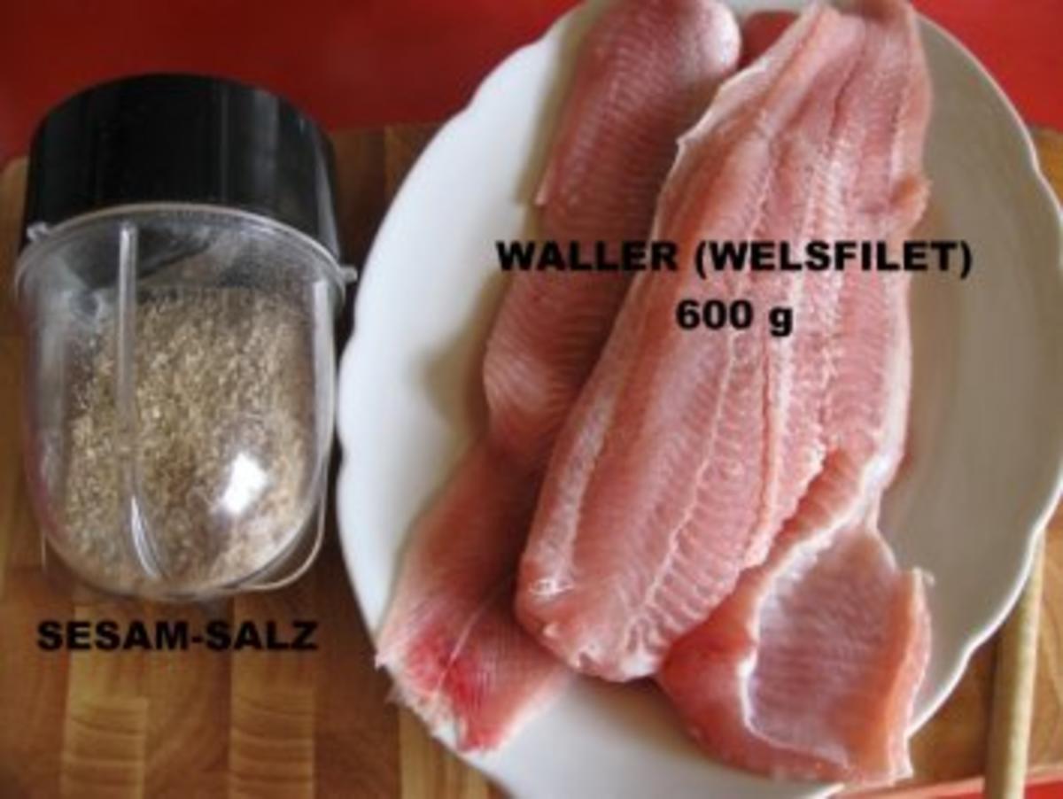 Sesam-Fischfilet .....Wallerfilet =Welsfilet ( mit Dill-Gurkengemüse  im KB ) - Rezept - Bild Nr. 4
