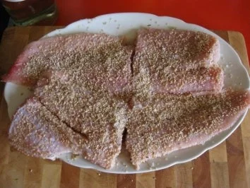 Rezept: Sesam-Fischfilet .....Wallerfilet =Welsfilet ( mit Dill-Gurkengemüse im KB ) Bild Nr. 5 Sesam-Fischfilet .....Wallerfilet =Welsfilet ( mit Dill-Gurkengemüse im KB ) - Rezept - Bild Nr. 5