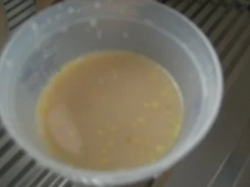 Rezept: Geschmorte Rippchen ( auch für den Grill geeignet ) Bild Nr. 6 Geschmorte Rippchen ( auch für den Grill geeignet ) - Rezept - Bild Nr. 6