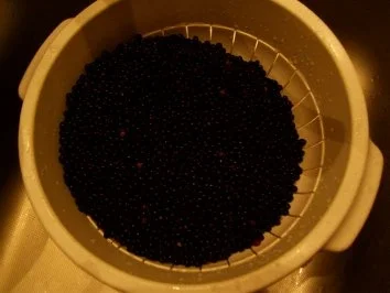 Rezept: Orangen-Holunderblüten-Gelee Bild Nr. 5 Orangen-Holunderblüten-Gelee - Rezept - Bild Nr. 5