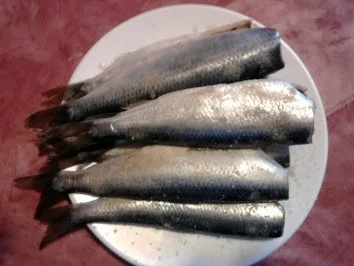 Rezept: Rotweinheringe Bild Nr. 4 Rotweinheringe - Rezept - Bild Nr. 4