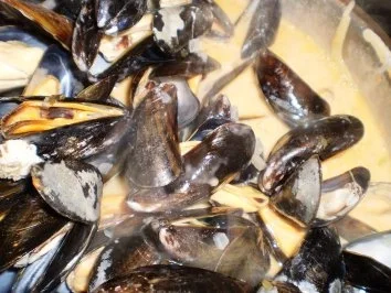 Rezept: Muscheltopf nach mediterraner Art Muscheltopf nach mediterraner Art - Rezept