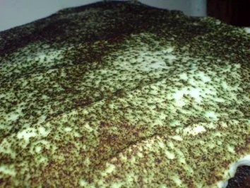 Rezept: Schoko-Brocken Bild Nr. 16 Schoko-Brocken - Rezept - Bild Nr. 16