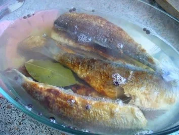 Bratheringe selbstgemacht - Rezept - Bild Nr. 10