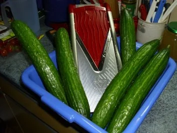 Hot-Dog Gurken selbstgemacht, - Rezept - Bild Nr. 3