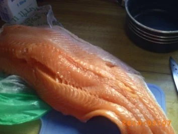 Hauptgericht: Lachsgratin mit Zucchini, dazu Salzkartoffeln - Rezept - Bild Nr. 4